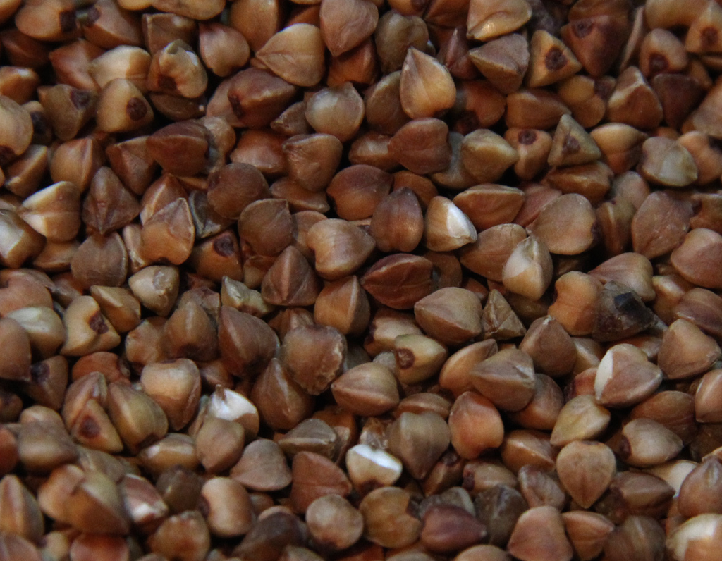 Buckwheat