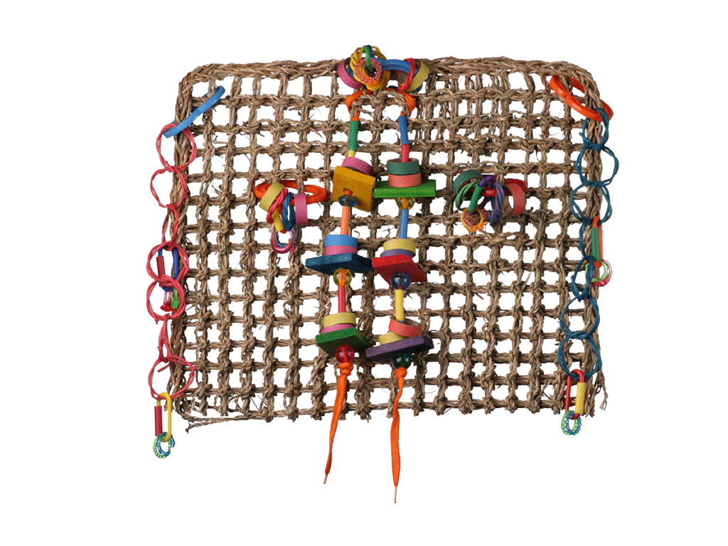 Activity Wall